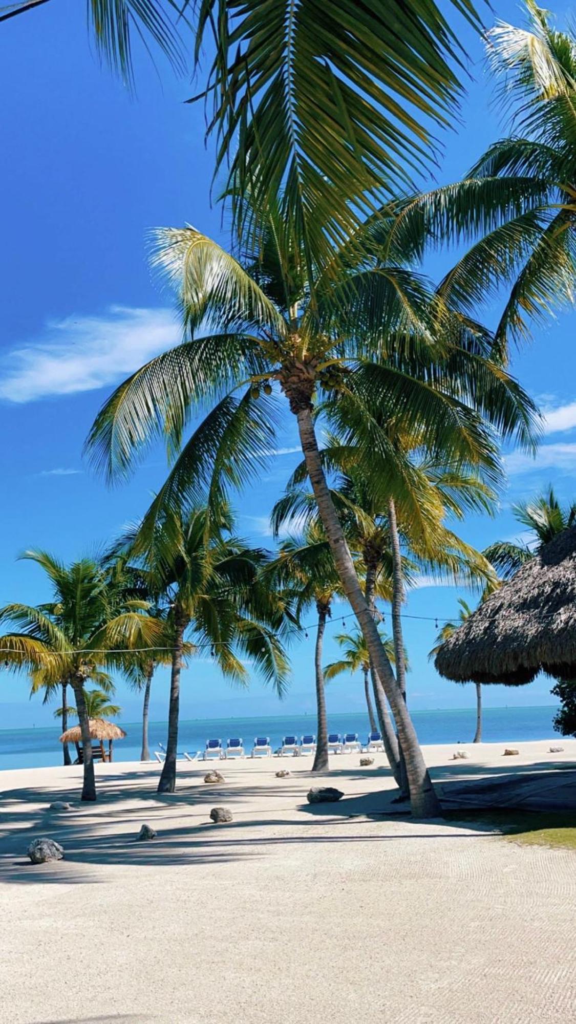 Inn Coconut Cove & Marina Islamorada